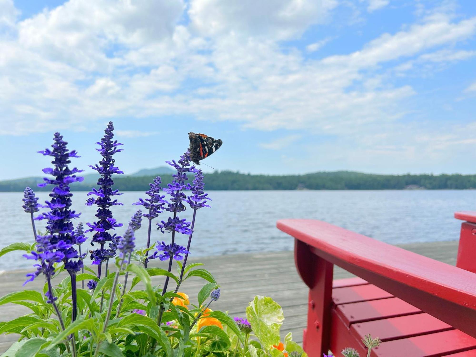 Paddler'S Rest Lakeside Cabins And Motel Long Lake Екстер'єр фото